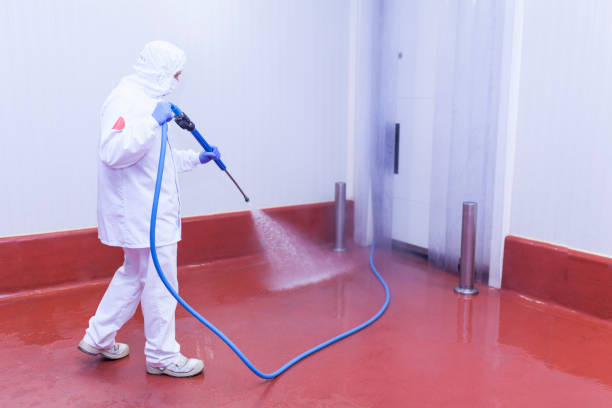 Best Building Exterior Washing  in Highland Park, TX